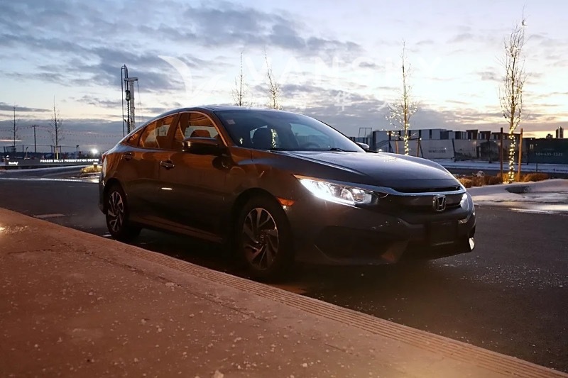 250219005916_图像 57.jpg